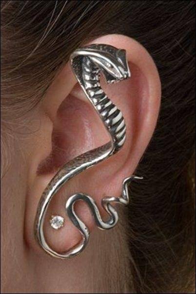 Animal Earrings