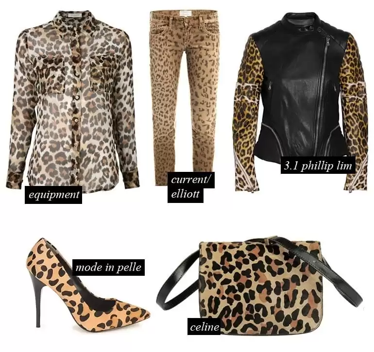 Animal Print Fashion Trends Animal Print Fashion Trends