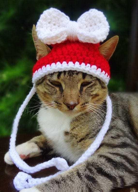 Kittens Christmas Outfits 20 Christmas Costumes For Cats