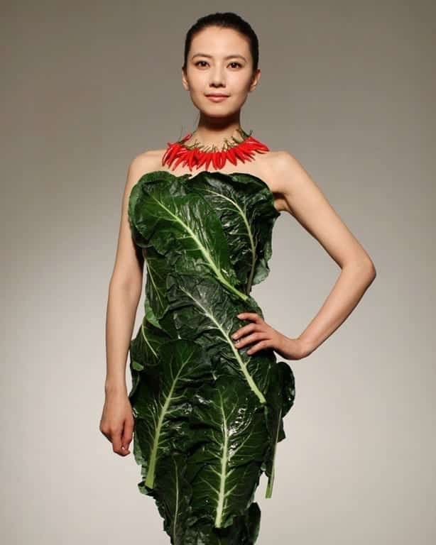 vegetable dress 1