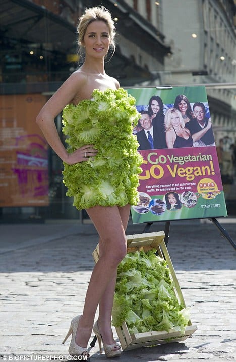 vegetable dress 4