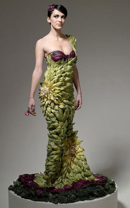 vegetable dress 5