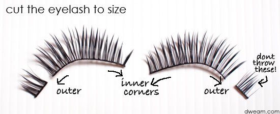 False Eyelashes Application for Beginners (1)