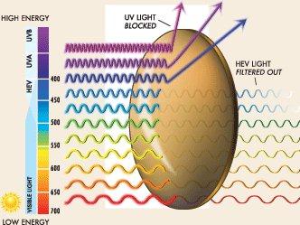 uv protected lenses