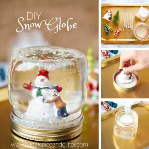 Snow Globe (Dehydrated)