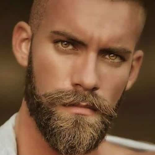 latest beard styles