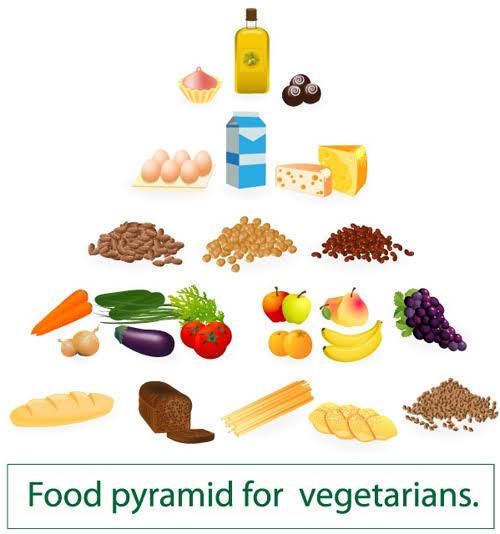 10 Best Organic Diet Plans For Weight Loss-Lose Weight at Home