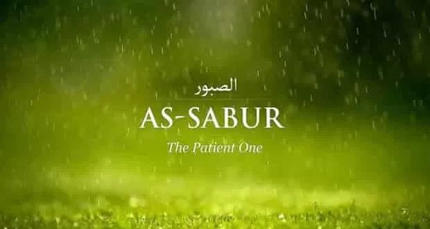 Islamic Quotes About Patience , 20 Quotes Described With Essence