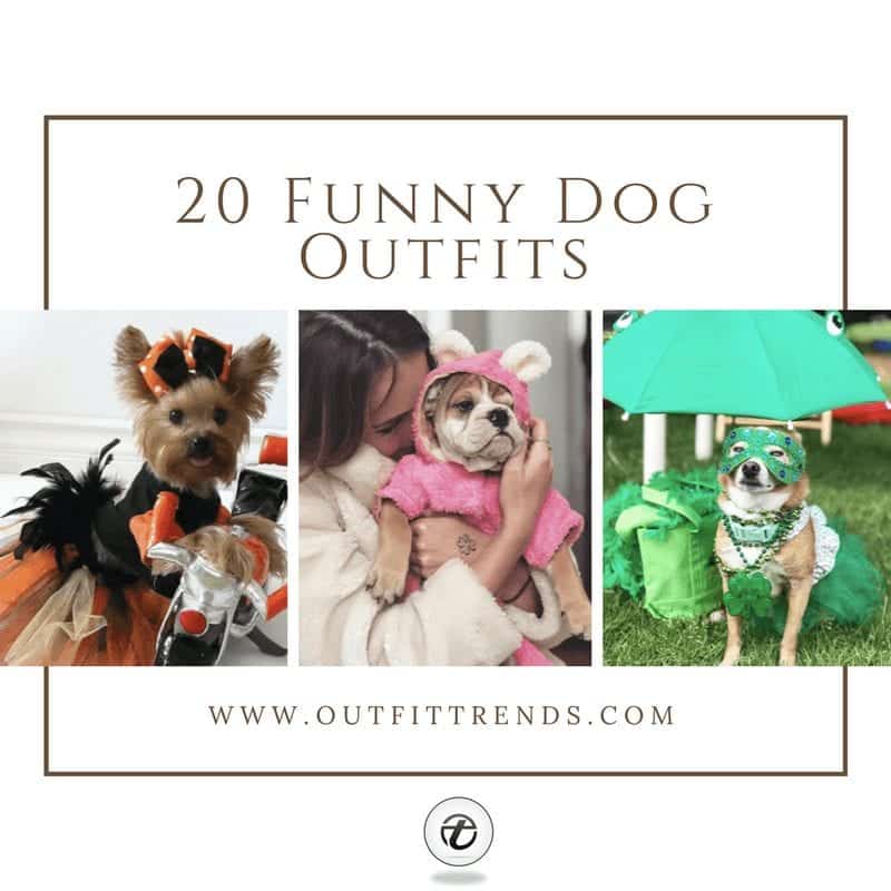 Funny Outfits for Dogs – 20 Most Funny Clothes for Dogs