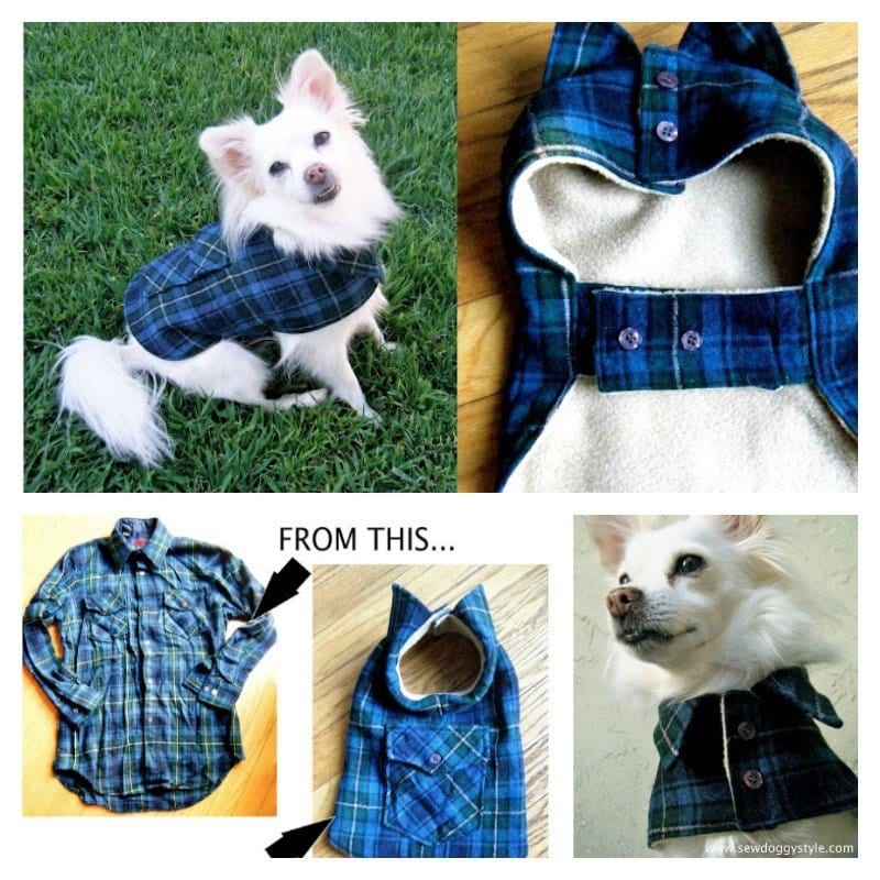 Funny Outfits for Dogs 20 Most Funny Clothes for Dogs