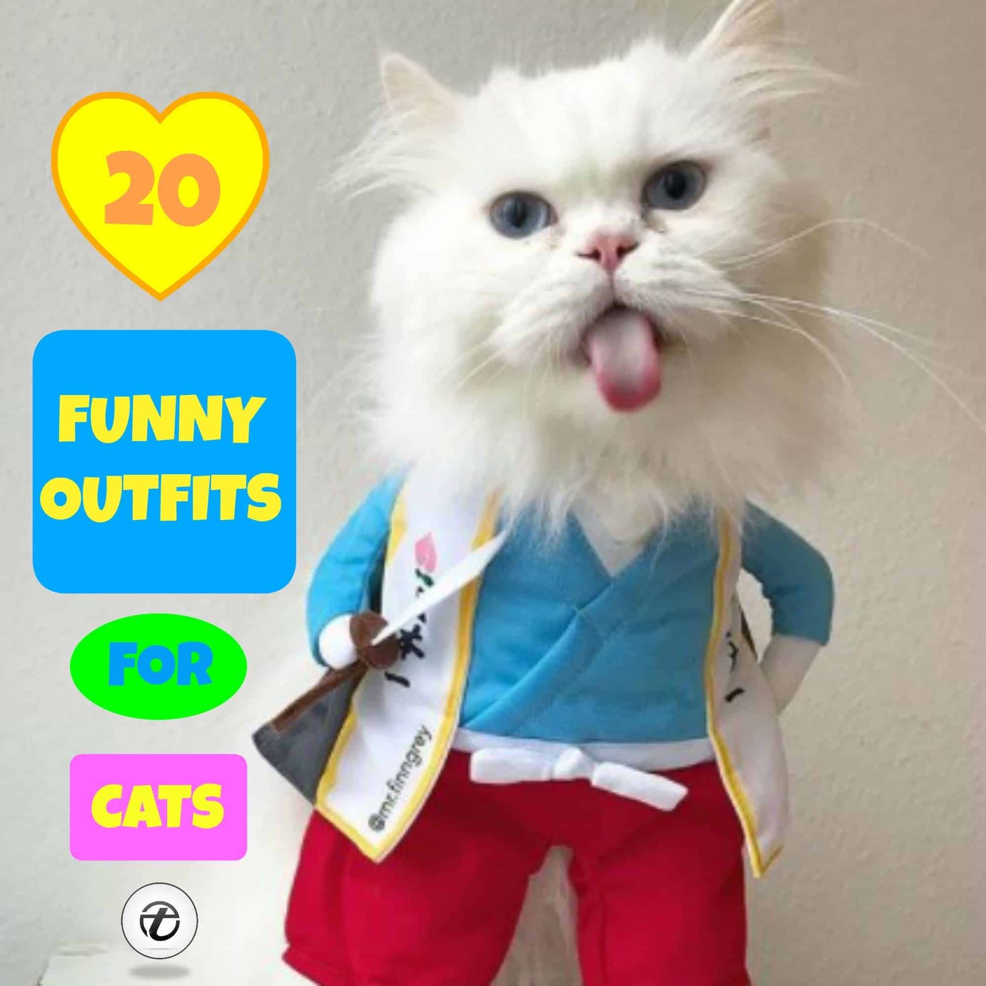 Funny Outfits For Cats – 20 Most Funny Clothes For Cats