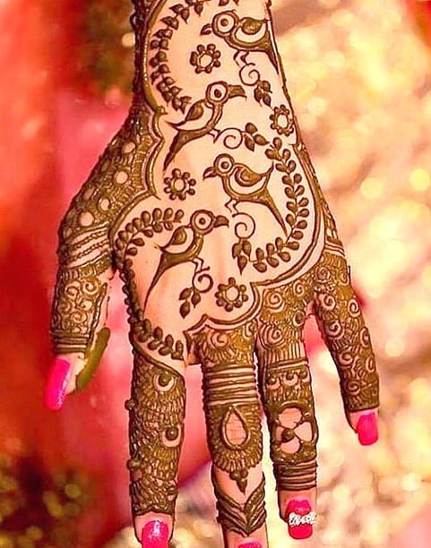 Jaipur Mehndi Designs (22)