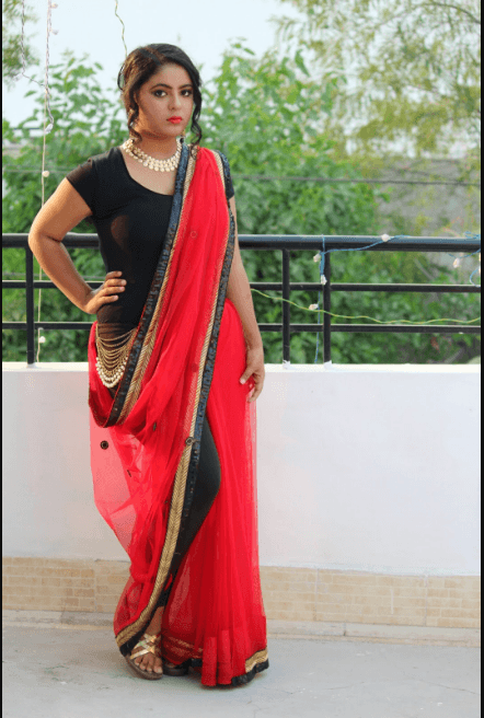 Saree Pant Outfit for Women