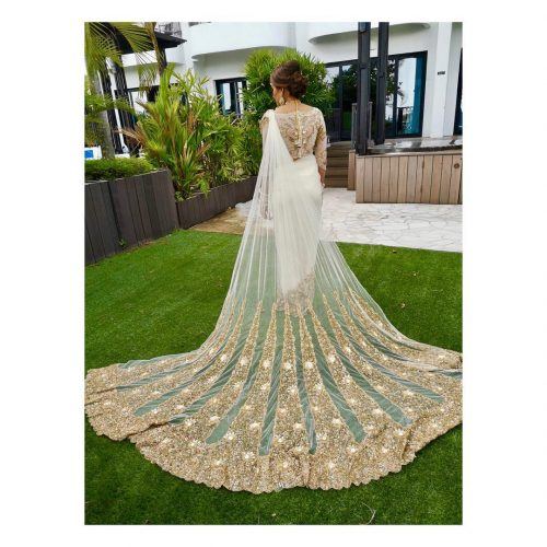 How To Wear A Net Saree