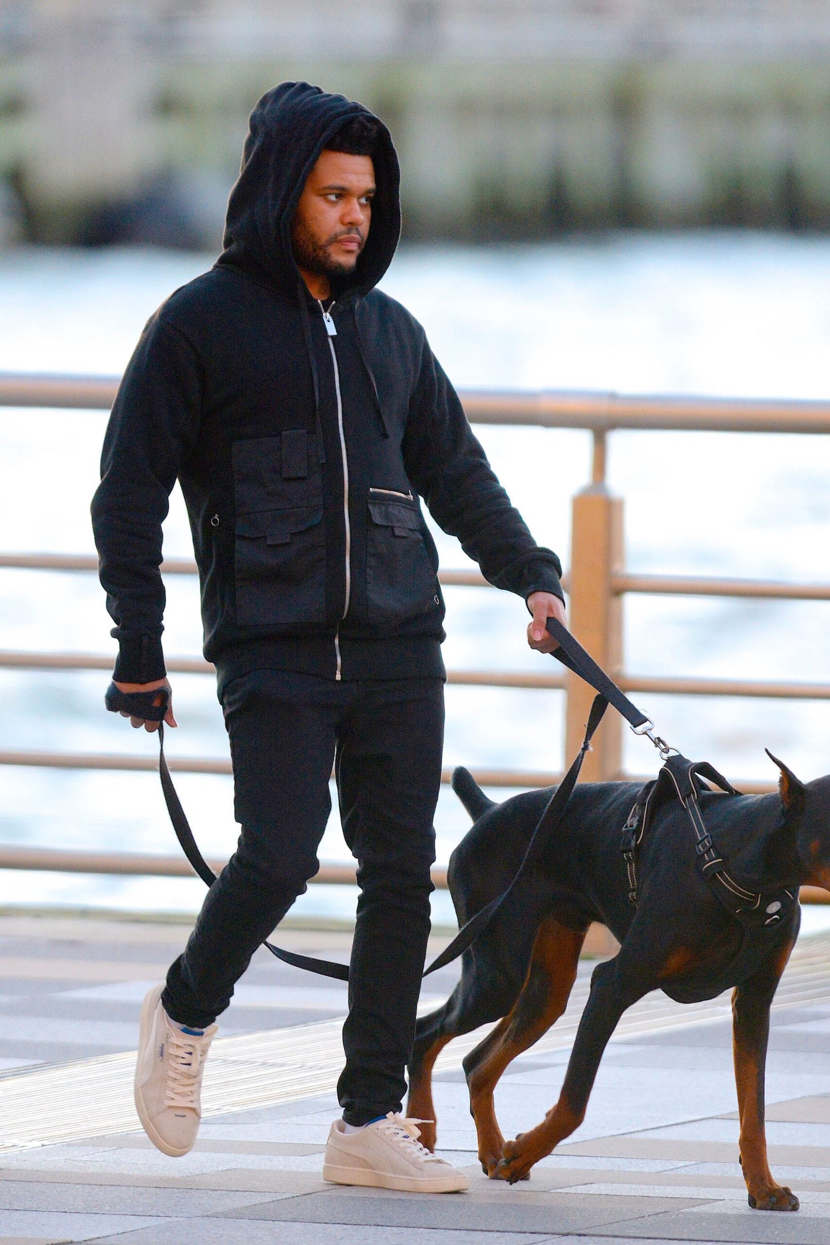Dog Walk Outfits For Men