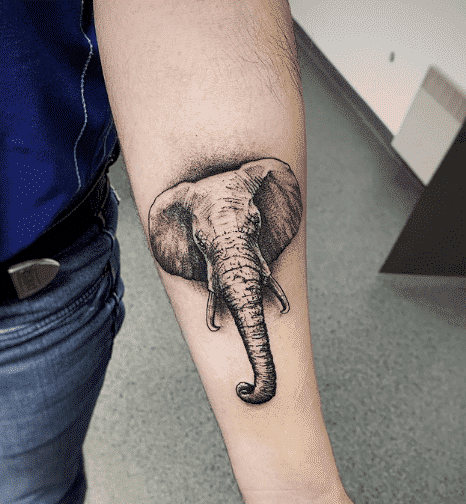 Elephant Tattoo :: Behance-tiepthilienket.edu.vn