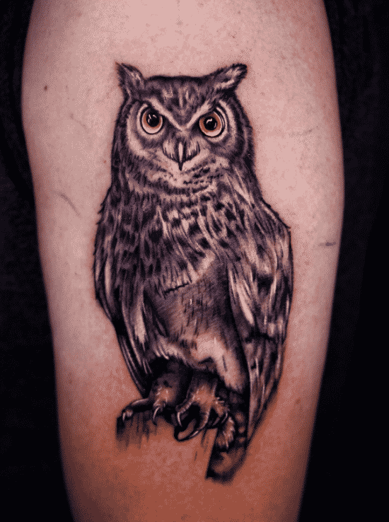 owl tattoo meaning