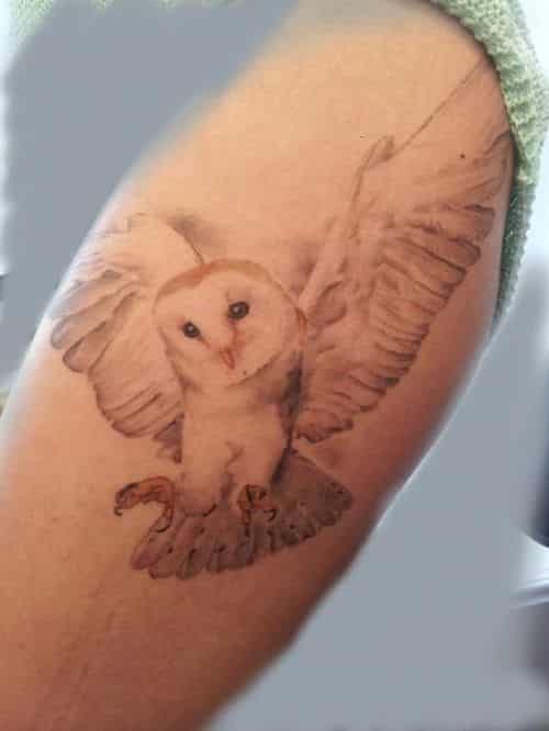 owl tattoo meaning