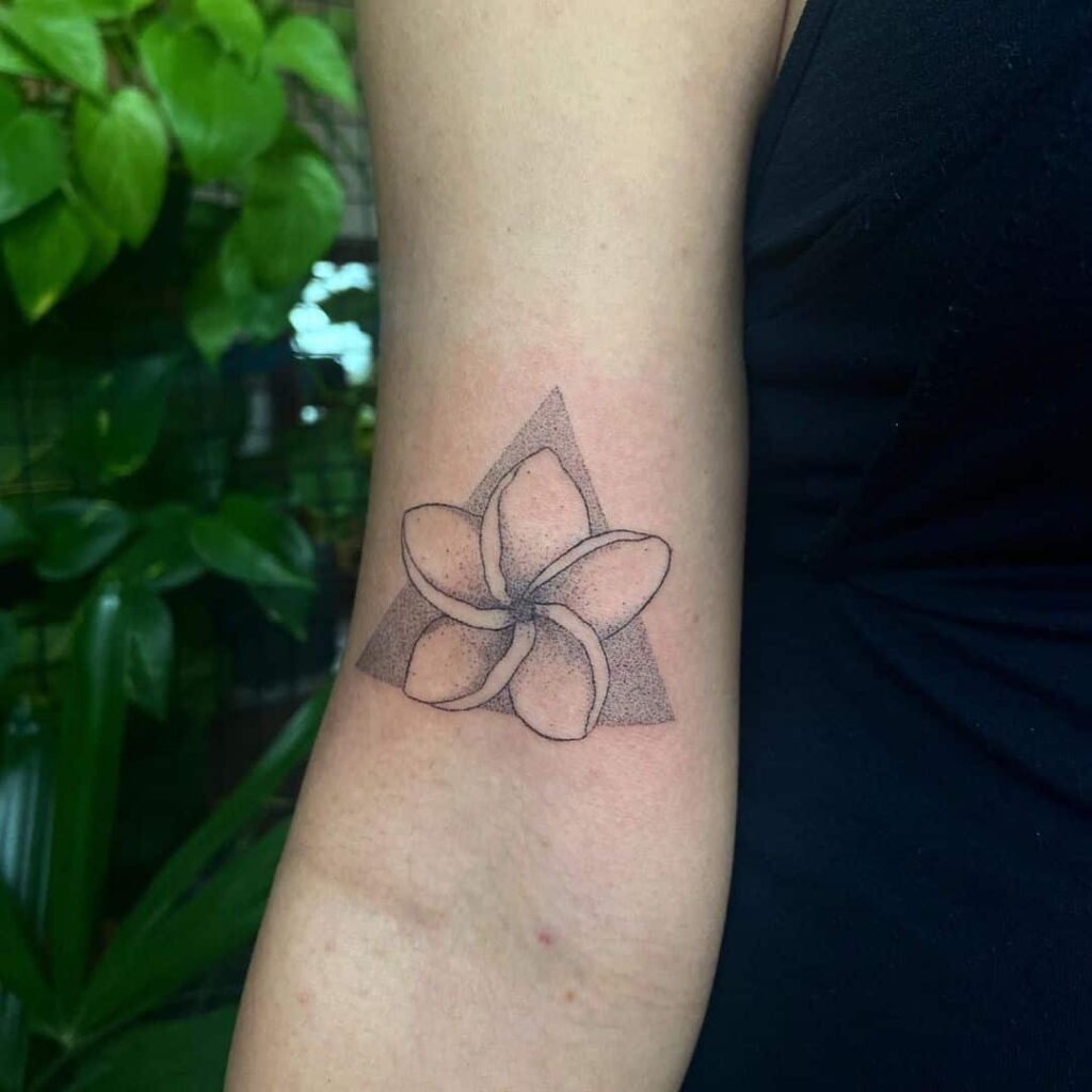 plumeria tattoos