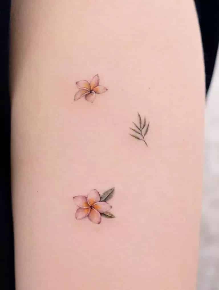 plumeria tattoos