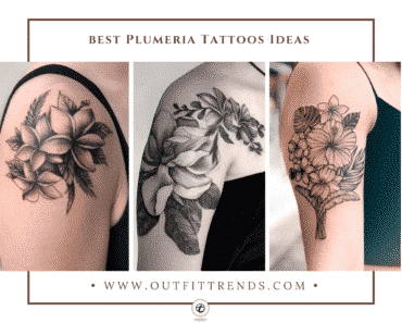 20 Best Plumeria Tattoos Designs 2023