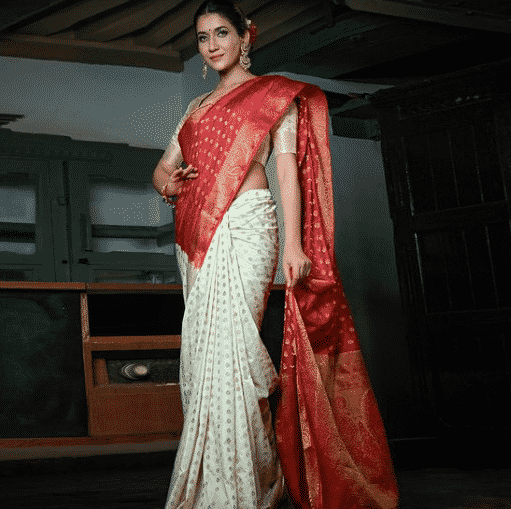 Silk Saree Designs