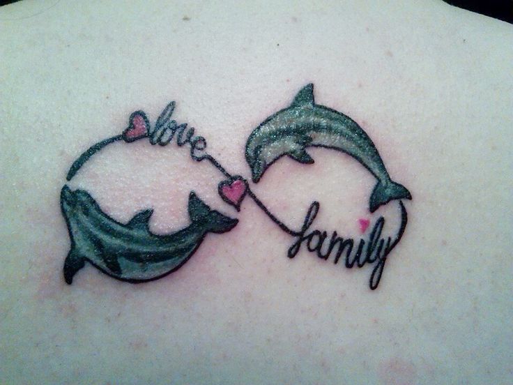 dolphin tattoo designs