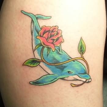 dolphin tattoo designs