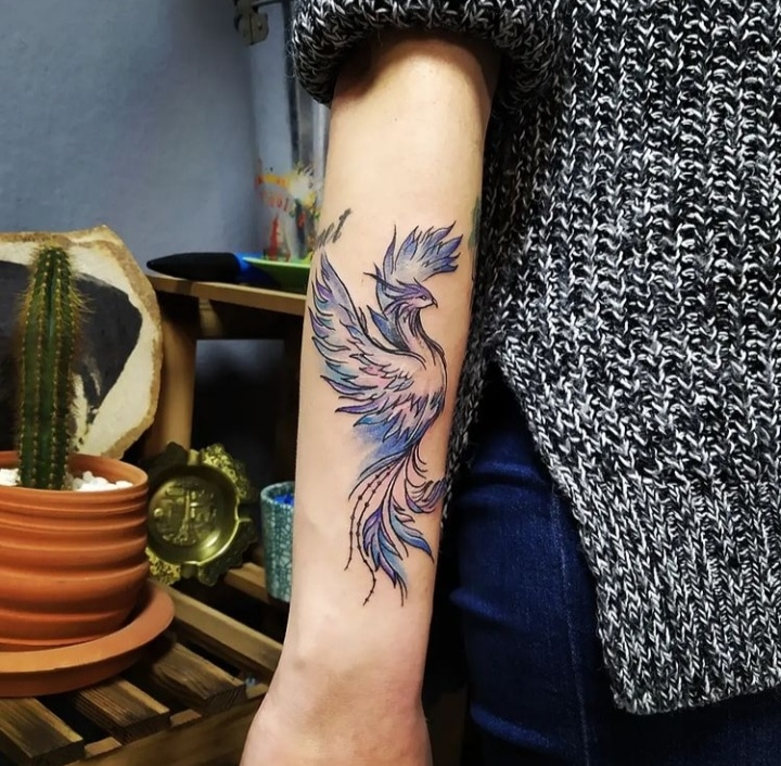 Phoenix Tattoo Ideas For Women