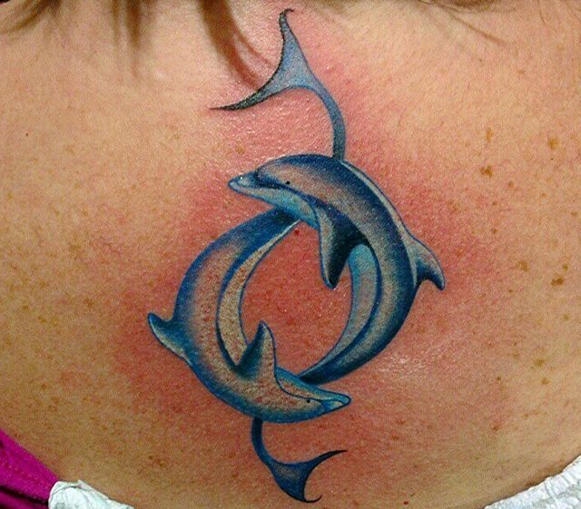 Dolphin Tattoos  Photos of Works By Pro Tattoo Artists at theYou