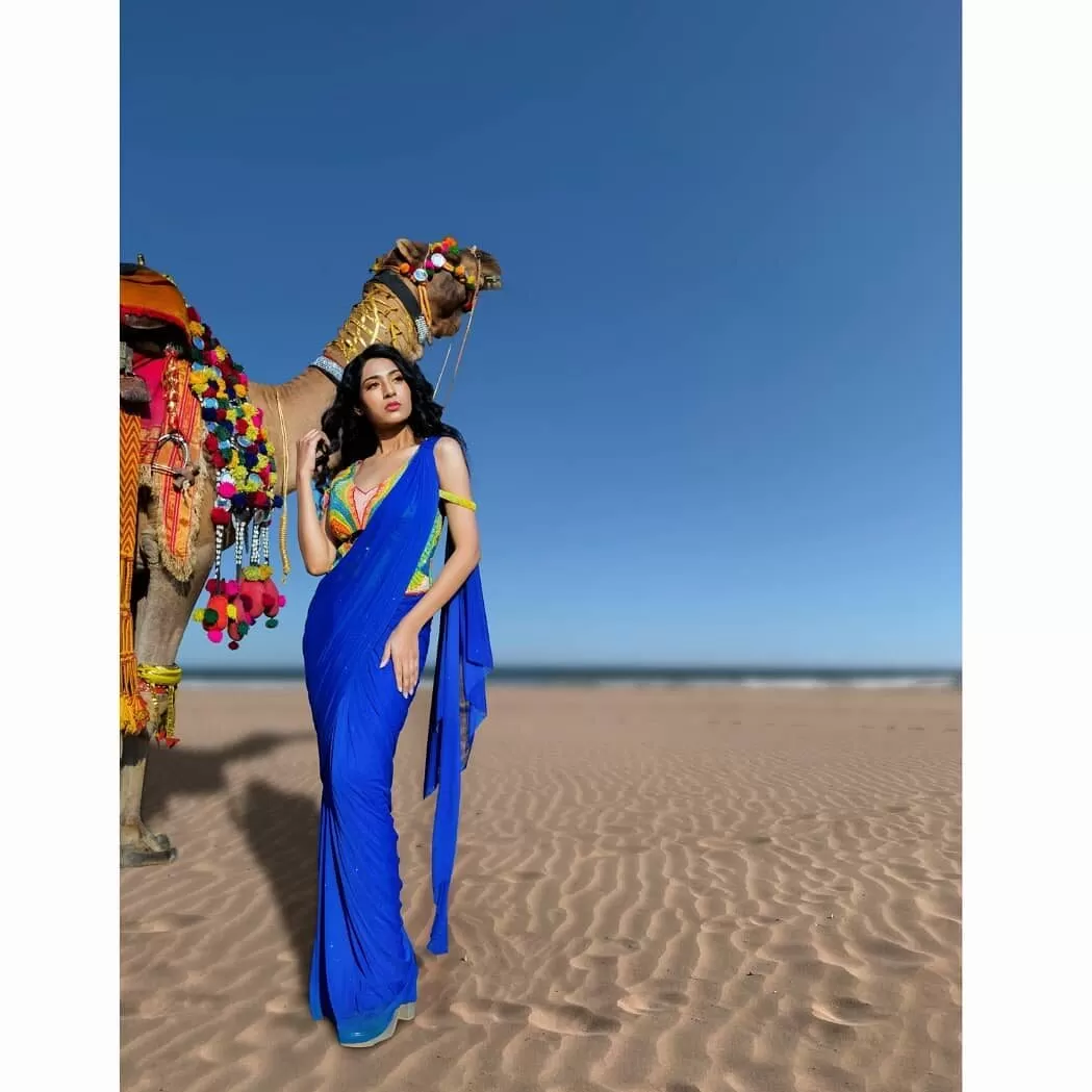 Saree with corset blouse