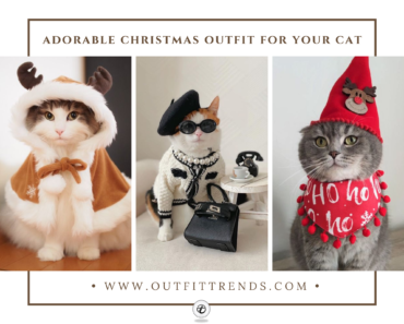 Kittens’ Christmas Outfits – 25 Christmas Costumes For Cats