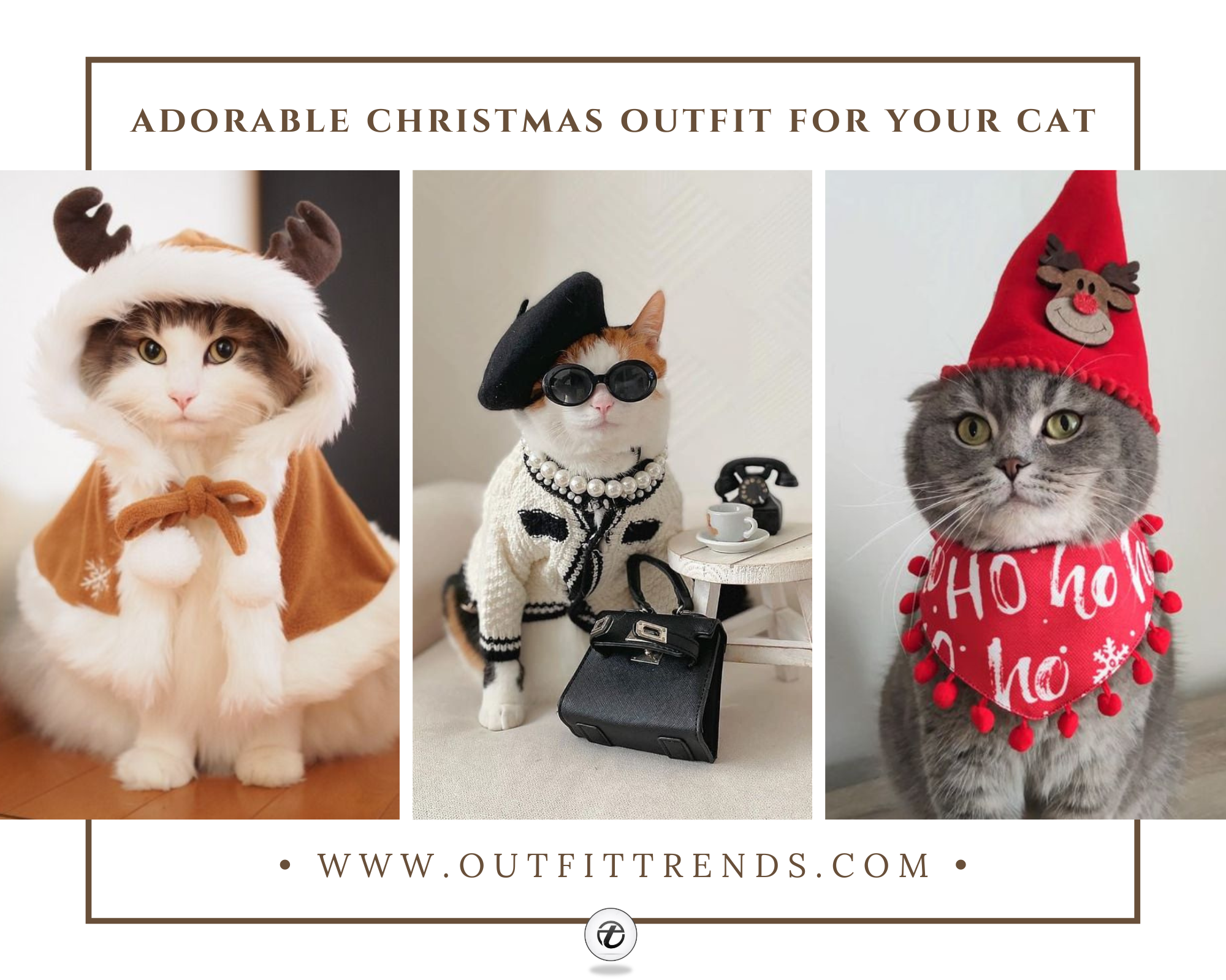 kitten christmas outfits 