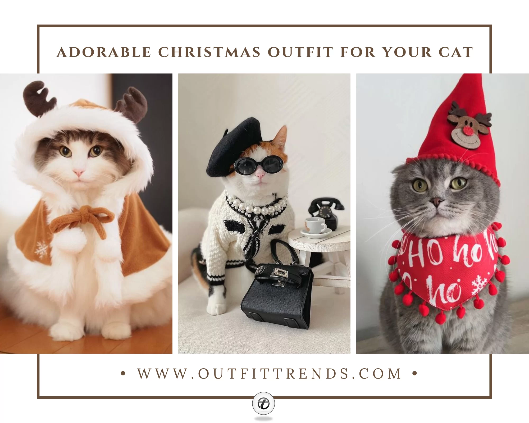 kitten christmas outfits